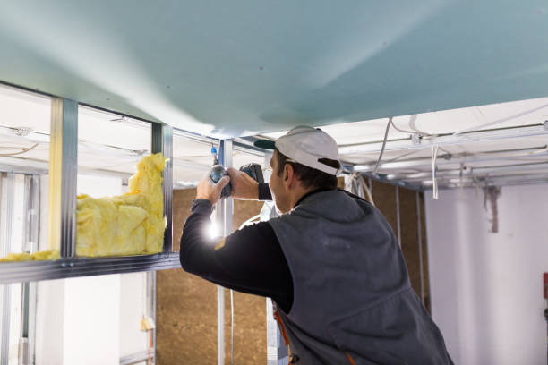 Best Insulation for Specific Applications in Alexandria, KY
