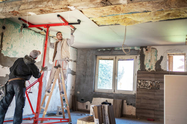 Best Geographic-Specific Insulation Services in Alexandria, KY